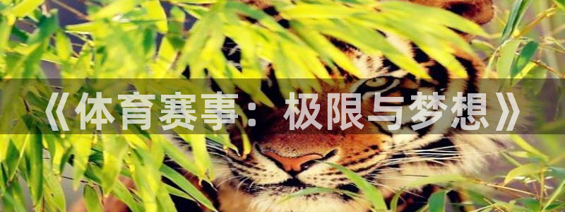 意昂44登录：《体育赛事：极限与梦想》