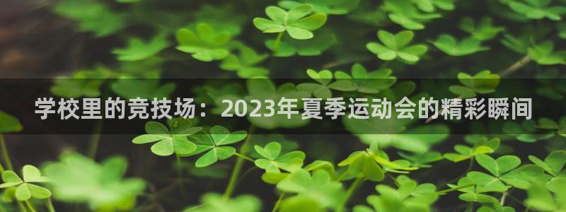 意昂4体育代理申请流程：学校里的竞技场：2023年夏季运动会的精彩瞬间