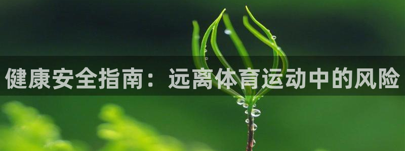 意昂4体育游戏：健康安全指南：远离体育运动中的风险