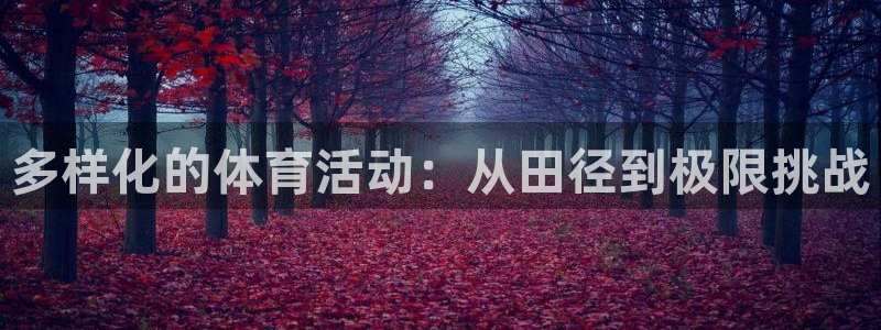 意昂4体育老板是谁：多样化的体育活动：从田径到极限挑战