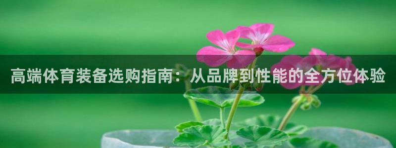 意昂4体育app下载：高端体育装备选购指南：从品牌到性能的全方位体验