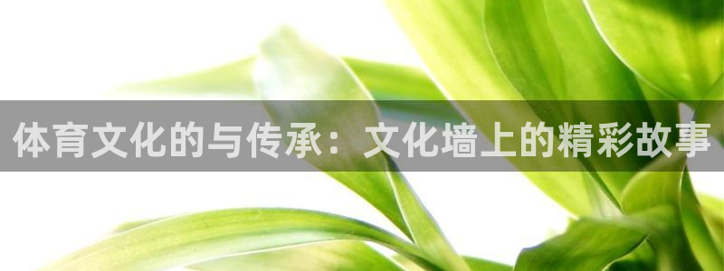 意昂4官网注册：体育文化的与传承：文化墙上的精彩故事