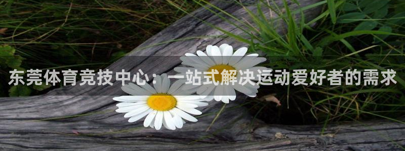 意昂4：东莞体育竞技中心：一站式解决运动爱好者的需求