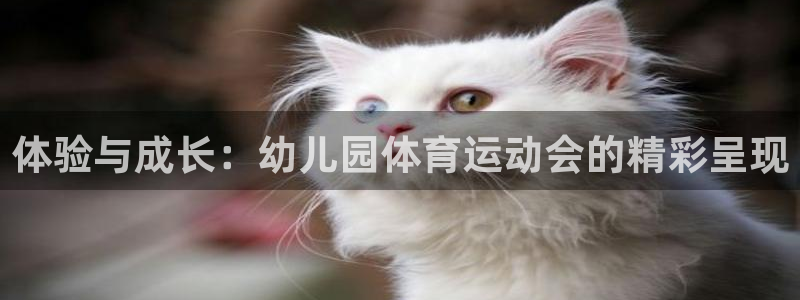 德国意昂4集团：体验与成长：幼儿园体育运动会的精彩呈现
