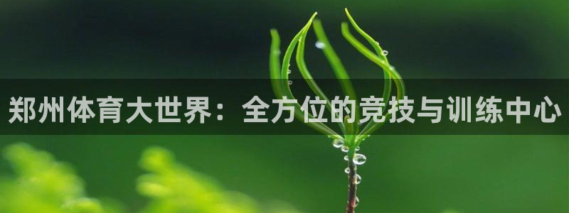 意昂4kgame：郑州体育大世界：全方位的竞技与训练中心
