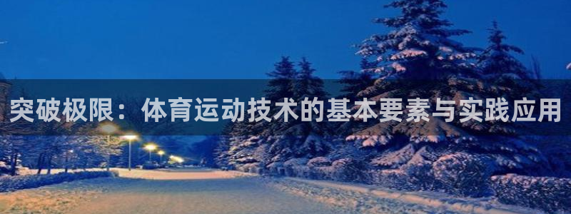 意昂4体育老板是谁：突破极限：体育运动技术的基本要素与实践应用