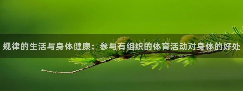 意昂4代理注册官网入口：规律的生活与身体健康：参与有组织的体育活动对身体的好处