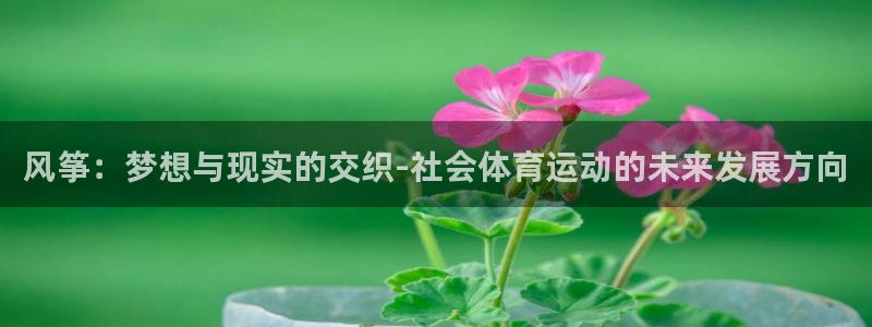 意昂4平台招商：风筝：梦想与现实的交织-社会体育运动的未来发展方向