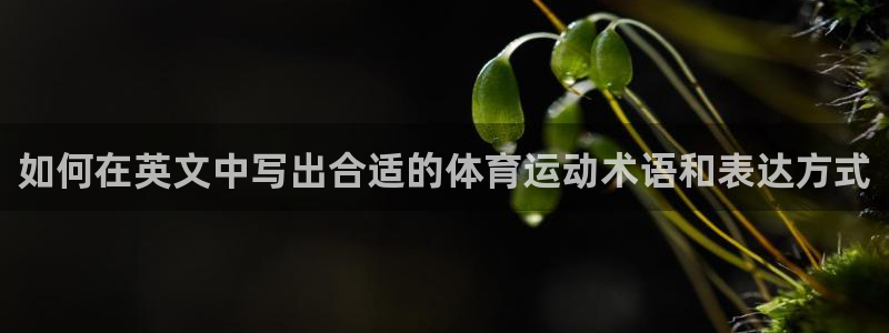 意昂4vk：如何在英文中写出合适的体育运动术语和表达方式