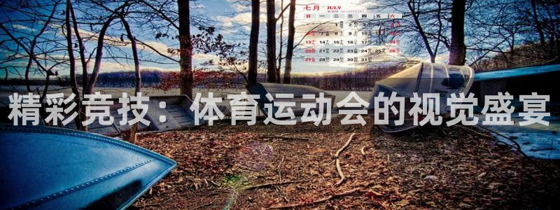 意昂4平台招商：精彩竞技：体育运动会的视觉盛宴