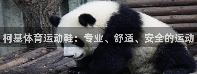 意昂4体育凯捷登陆：柯基体育运动鞋：专业、舒适、安全的运动