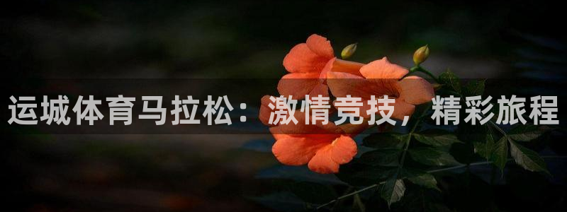 意昂4体育注册代理：运城体育马拉松：激情竞技，精彩旅程