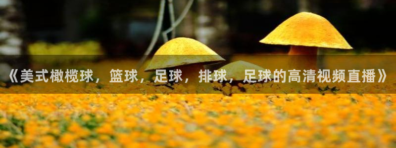 意昂4凯捷平台注册链接：《美式橄榄球，篮球，足球，排球，足球的高清视频直播》