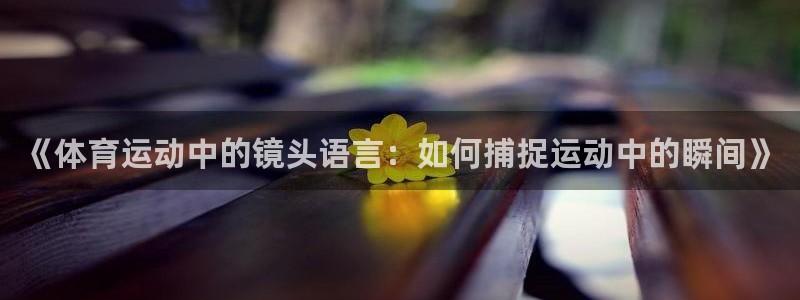 意昂4体育娱乐总代：《体育运动中的镜头语言：如何捕捉运动中的瞬间》