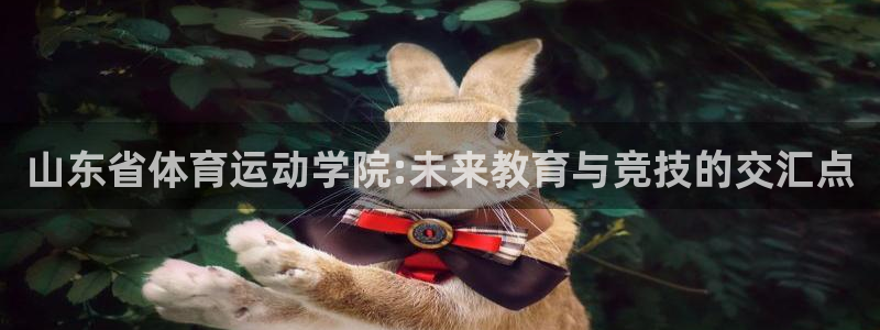 意昂43平台注册：山东省体育运动学院:未来教育与竞技的交汇点