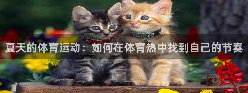 意昂4体育f开号：夏天的体育运动：如何在体育热中找到自己的节奏