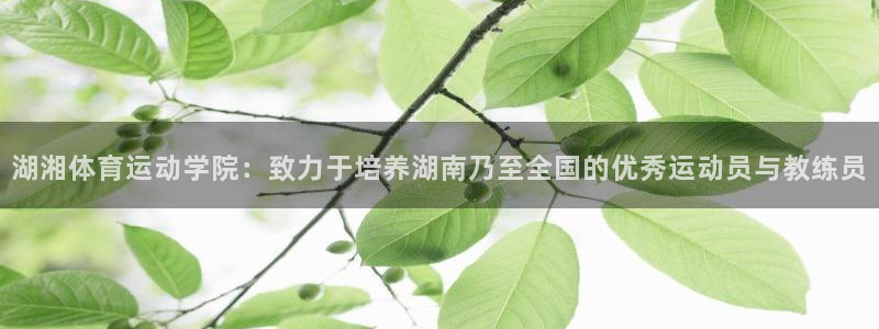 意昂42体育登录入口：湖湘体育运动学院：致力于培养湖南乃至全国的优秀运动员与教练