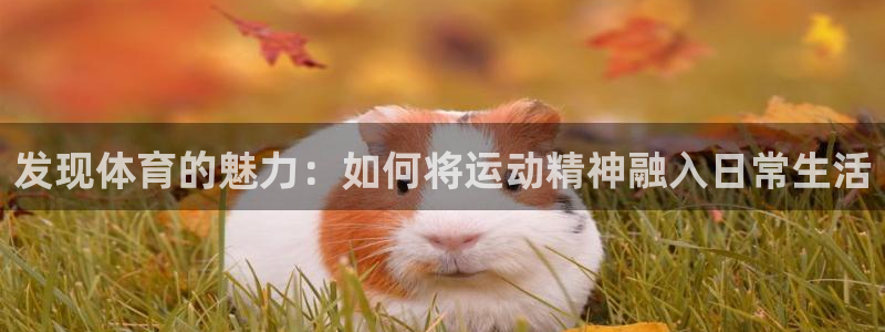 意昂43平台登录注册：发现体育的魅力：如何将运动精神融入日常生活